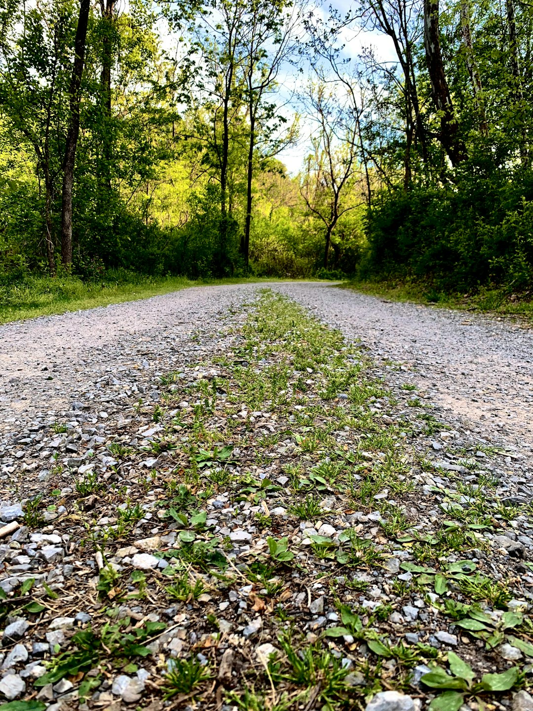 How to Phase Your Michigan Land for Maximum Allure