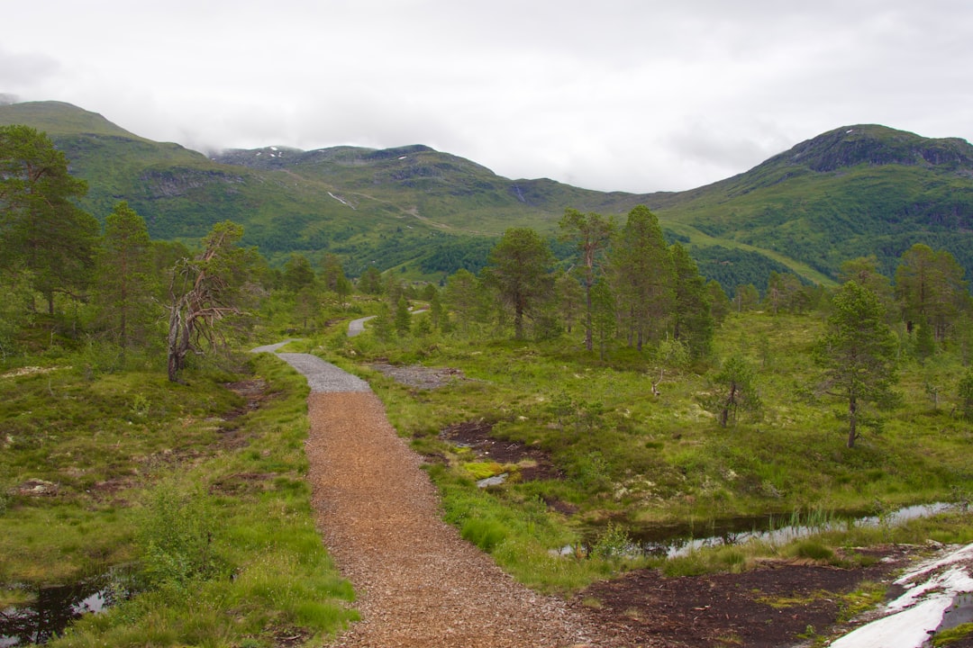 Land surveys and assessments