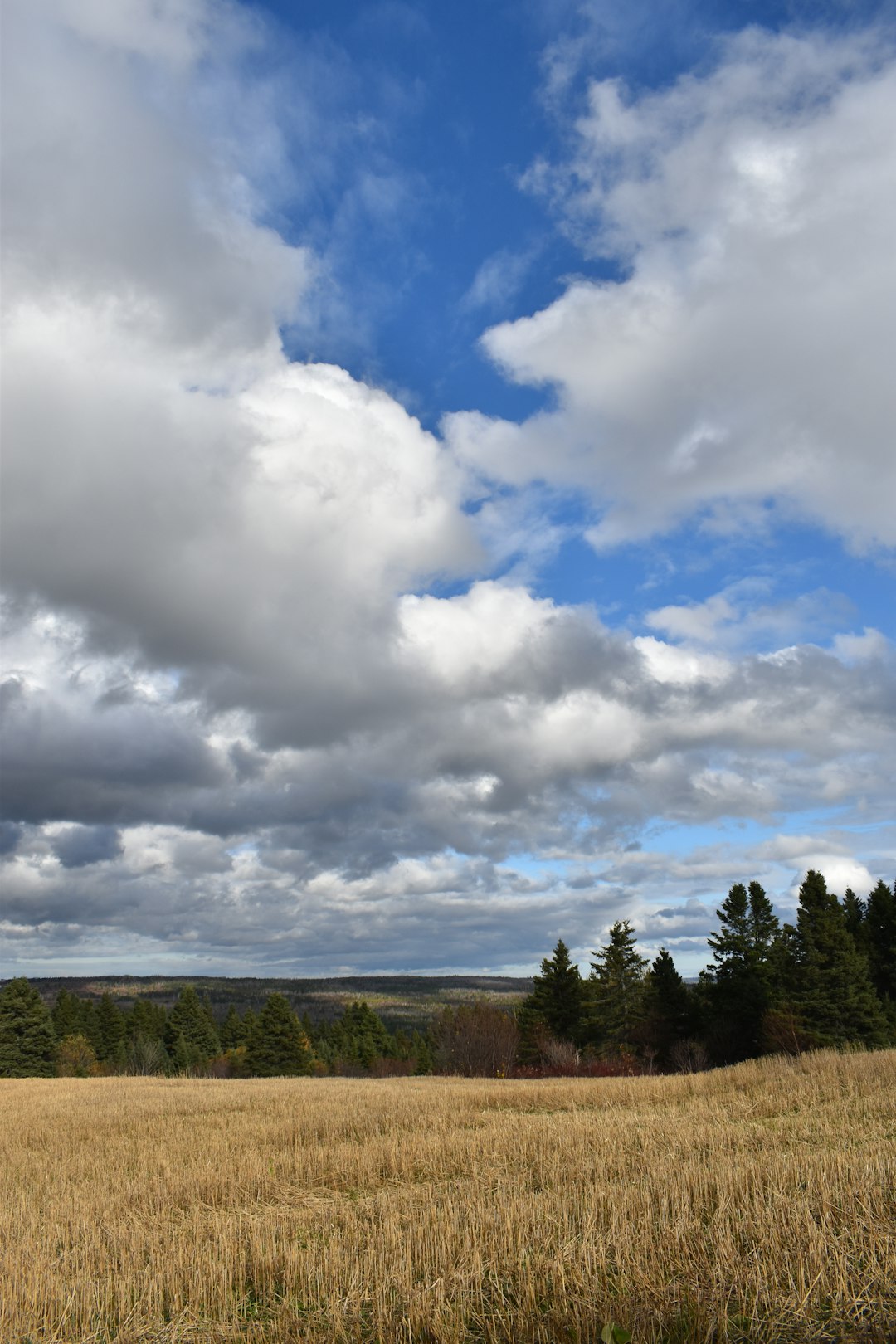 How to Make The Most Of Earnings When Selling Your Hawaii Land for Money