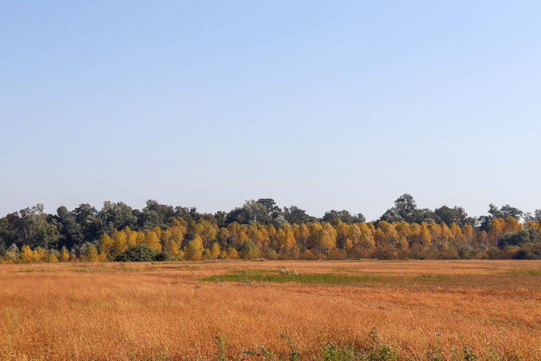 Listing land for sale in Kansas