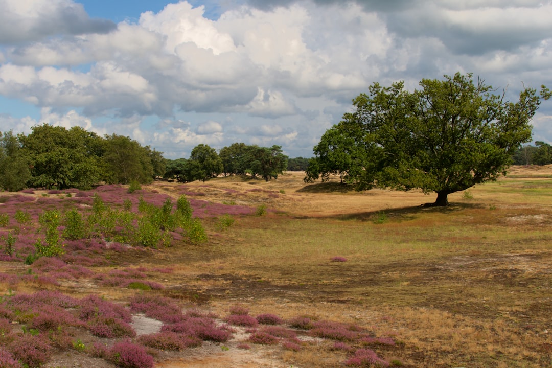 Sell Kansas land for cash