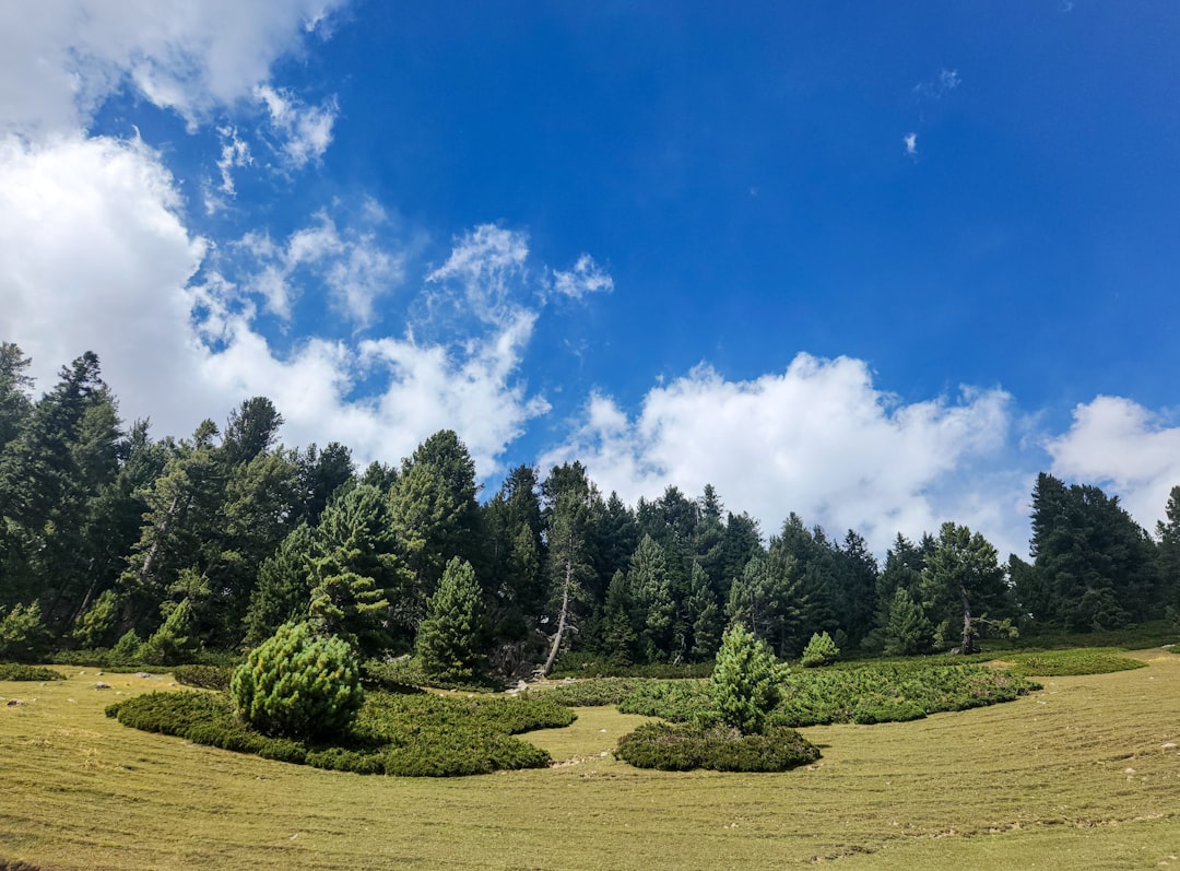 Sell Colorado land for cash