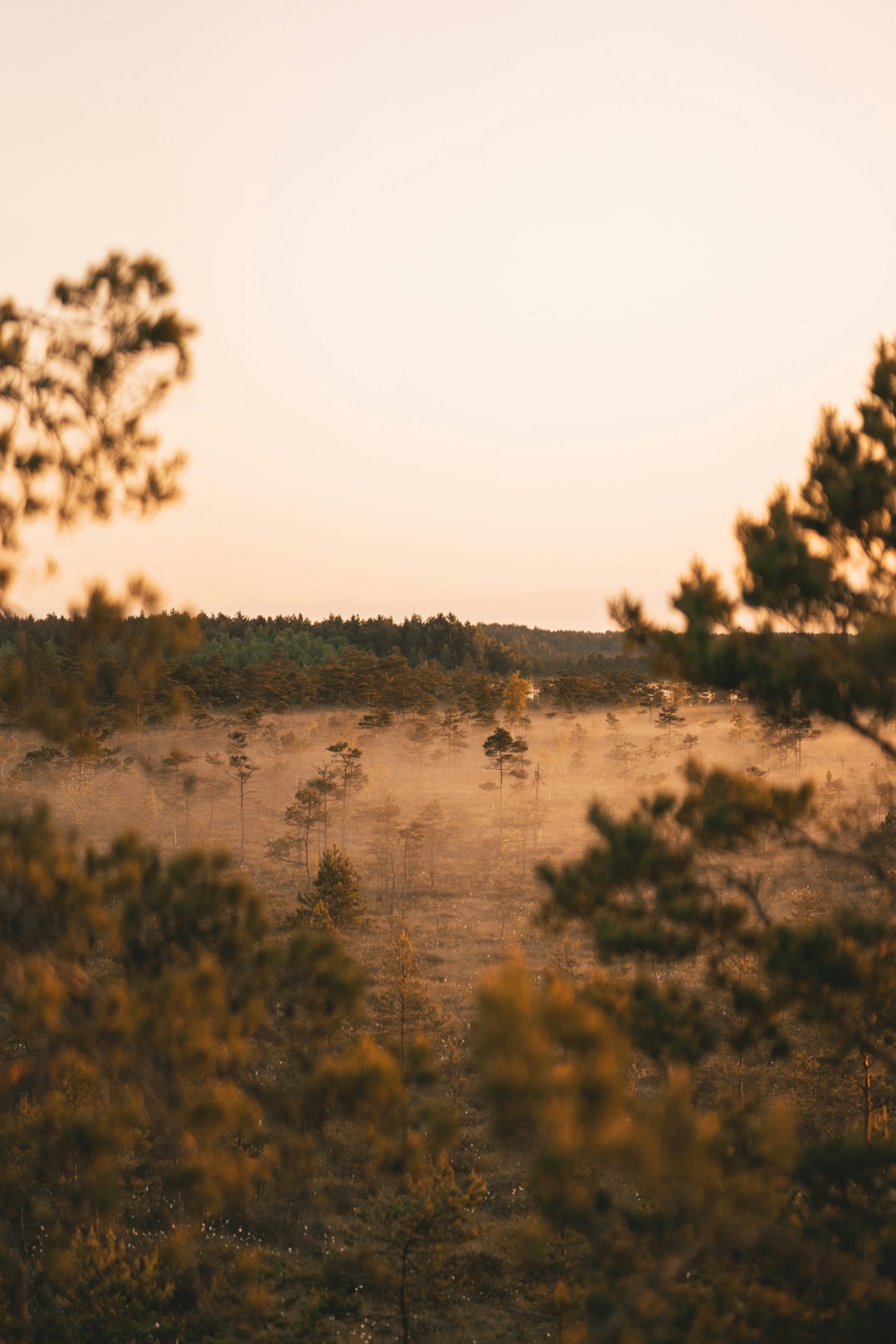 How to Sell Your Colorado Land Rapidly for Cash Money