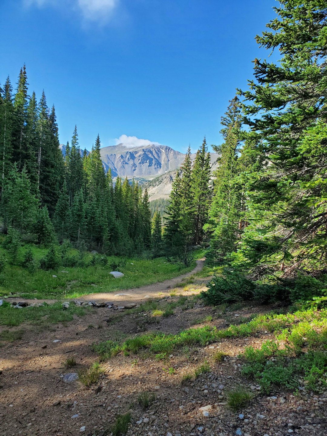 How to Conveniently Sell Your Colorado Land for Fast Money