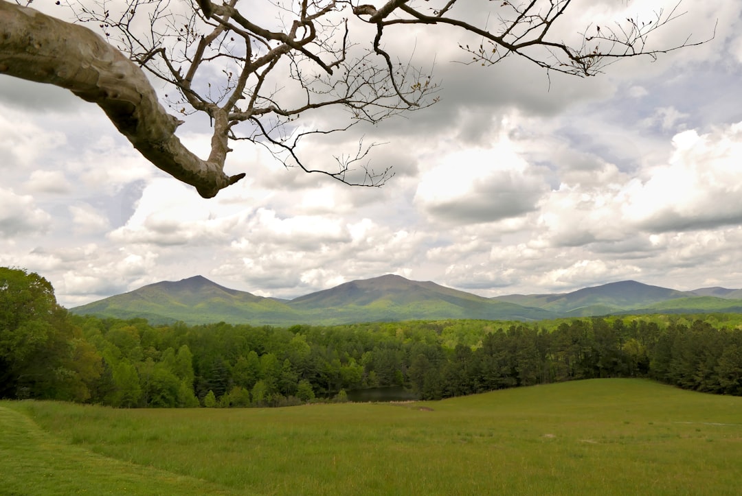 Illinois land buyer