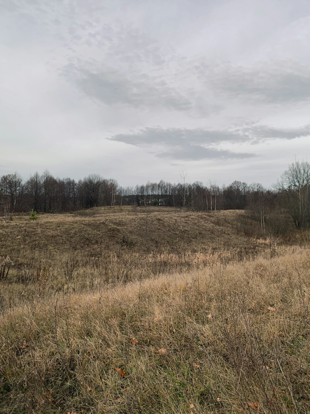 How to Navigate the Process of Selling Ohio Land for Cash