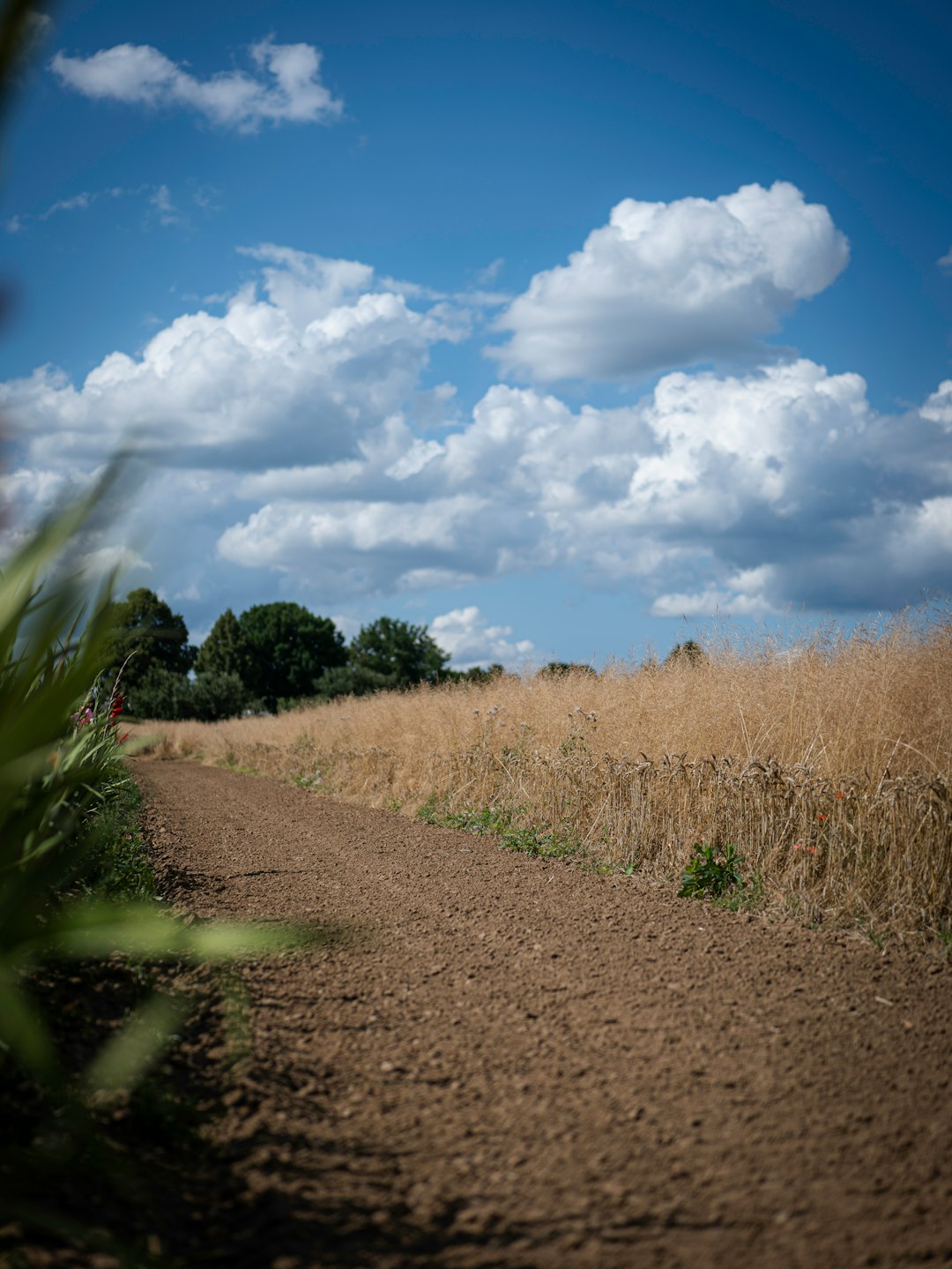 How to Sell Your Connecticut Land Promptly for Cash