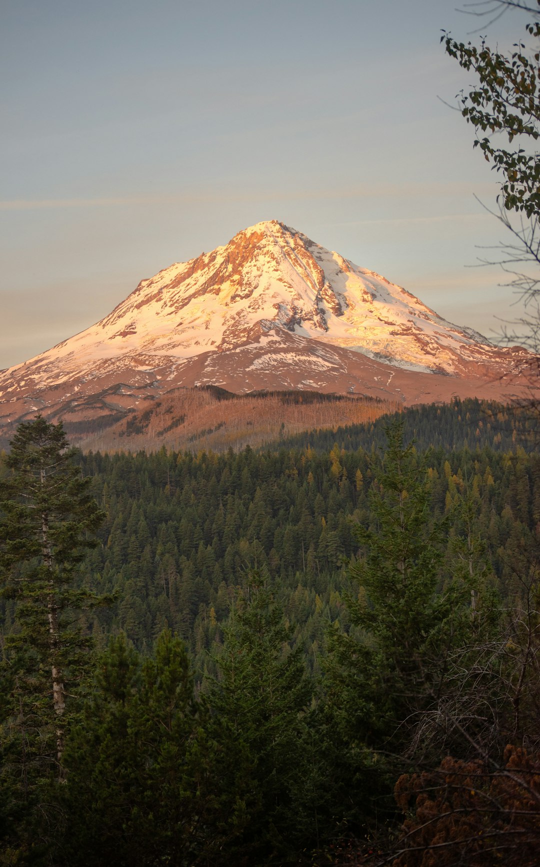 What is the possible profit from selling Idaho land for money?