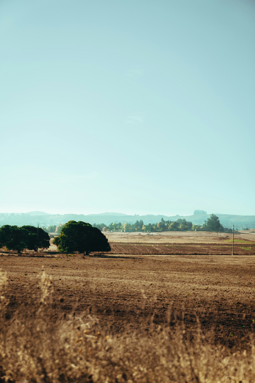 How to Price Your Wyoming Land for a Cash Sale