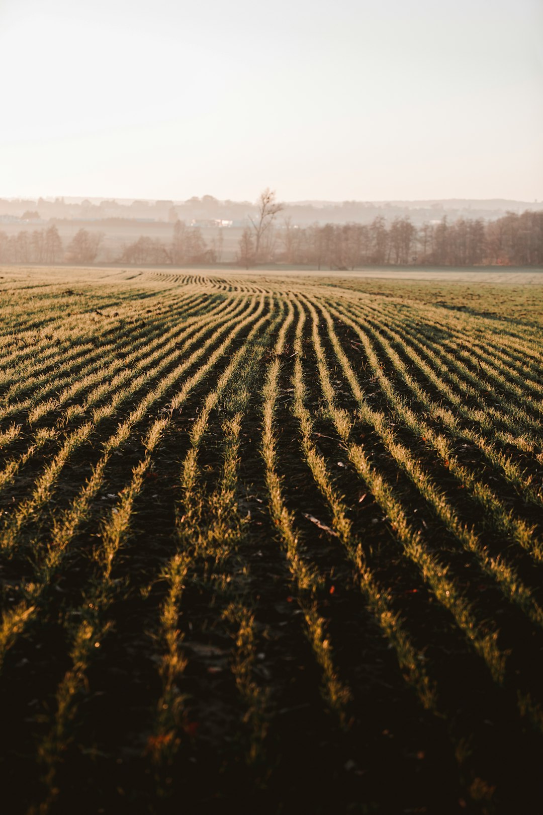 Typical Errors to Stay Clear Of When Selling Wyoming Land for Cash Money