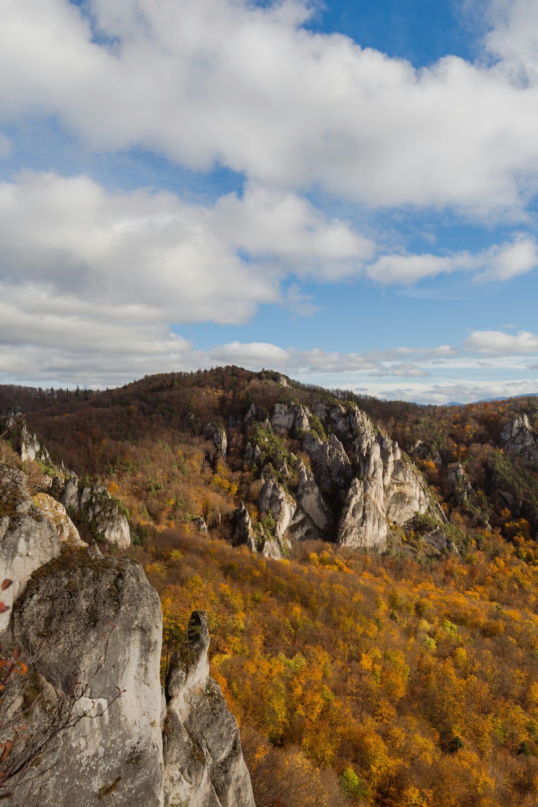 What is the process for offering New Hampshire land for cash money?