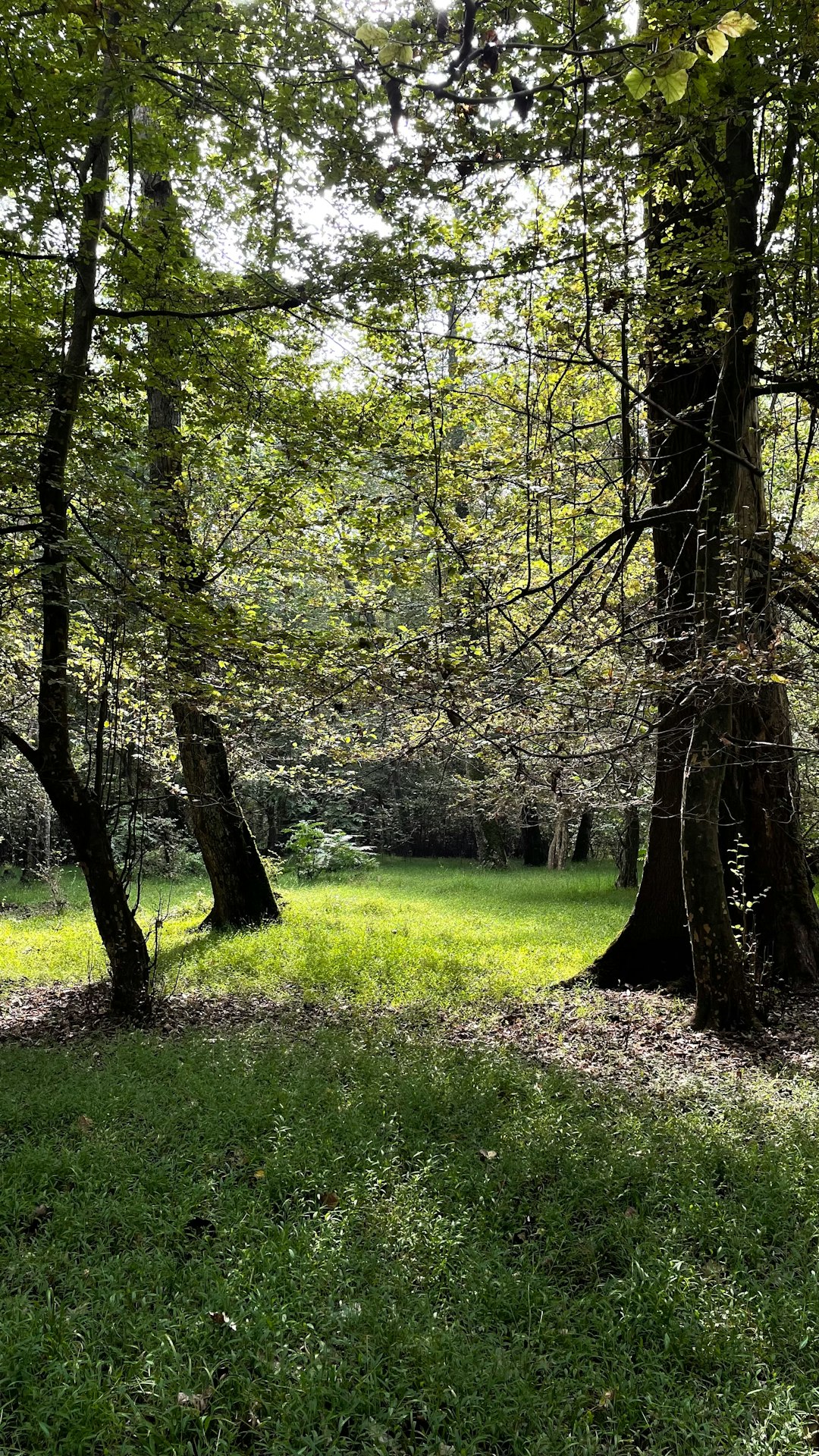 Steps to sell rural land in Georgia