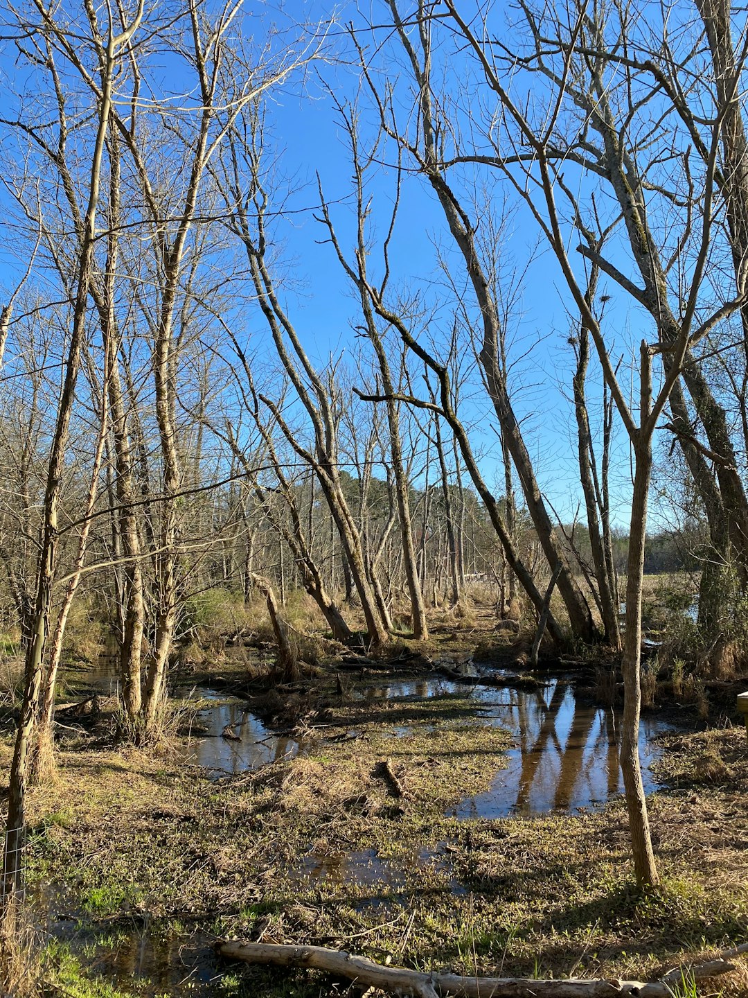 Preparing Your Land for a Money Sale