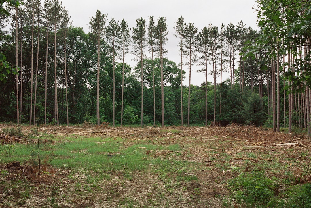 Buying Ohio land for cash