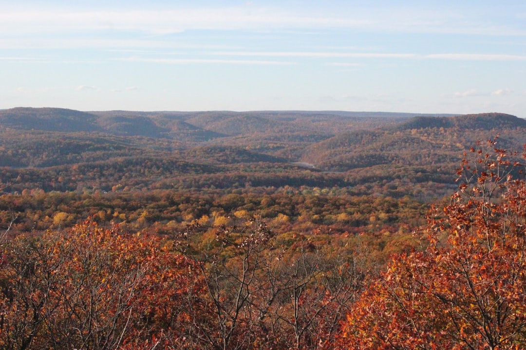 Cash offers on agricultural lands in Ohio