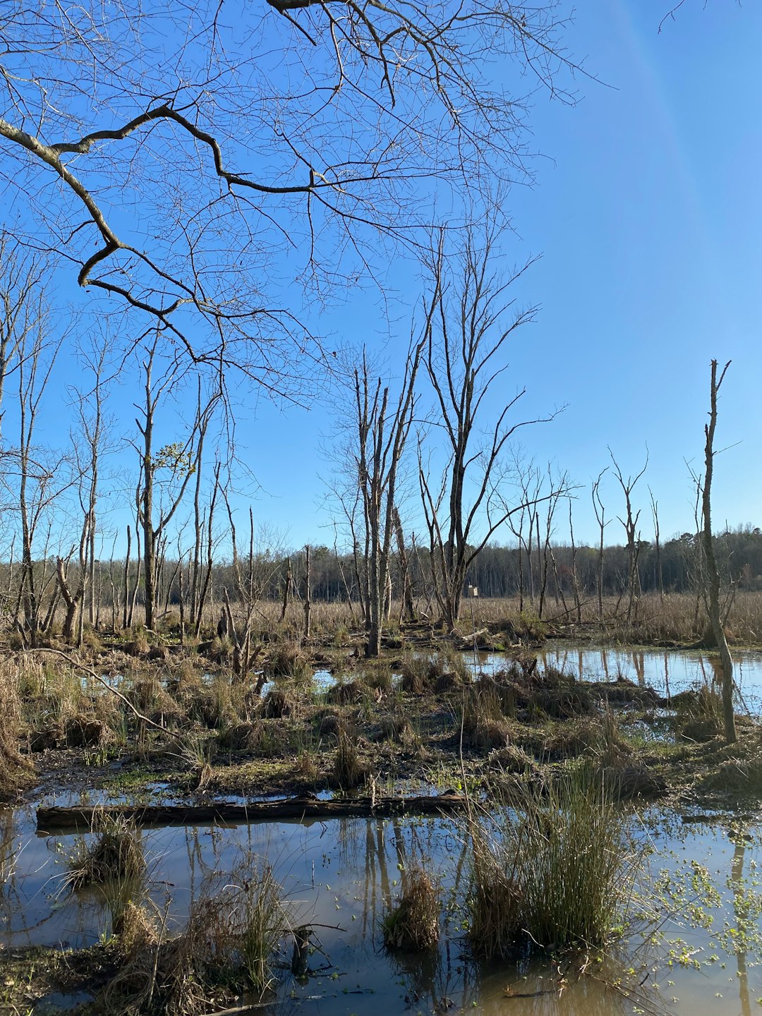 What is the most effective means to find buyers for Connecticut land thinking about paying cash money?