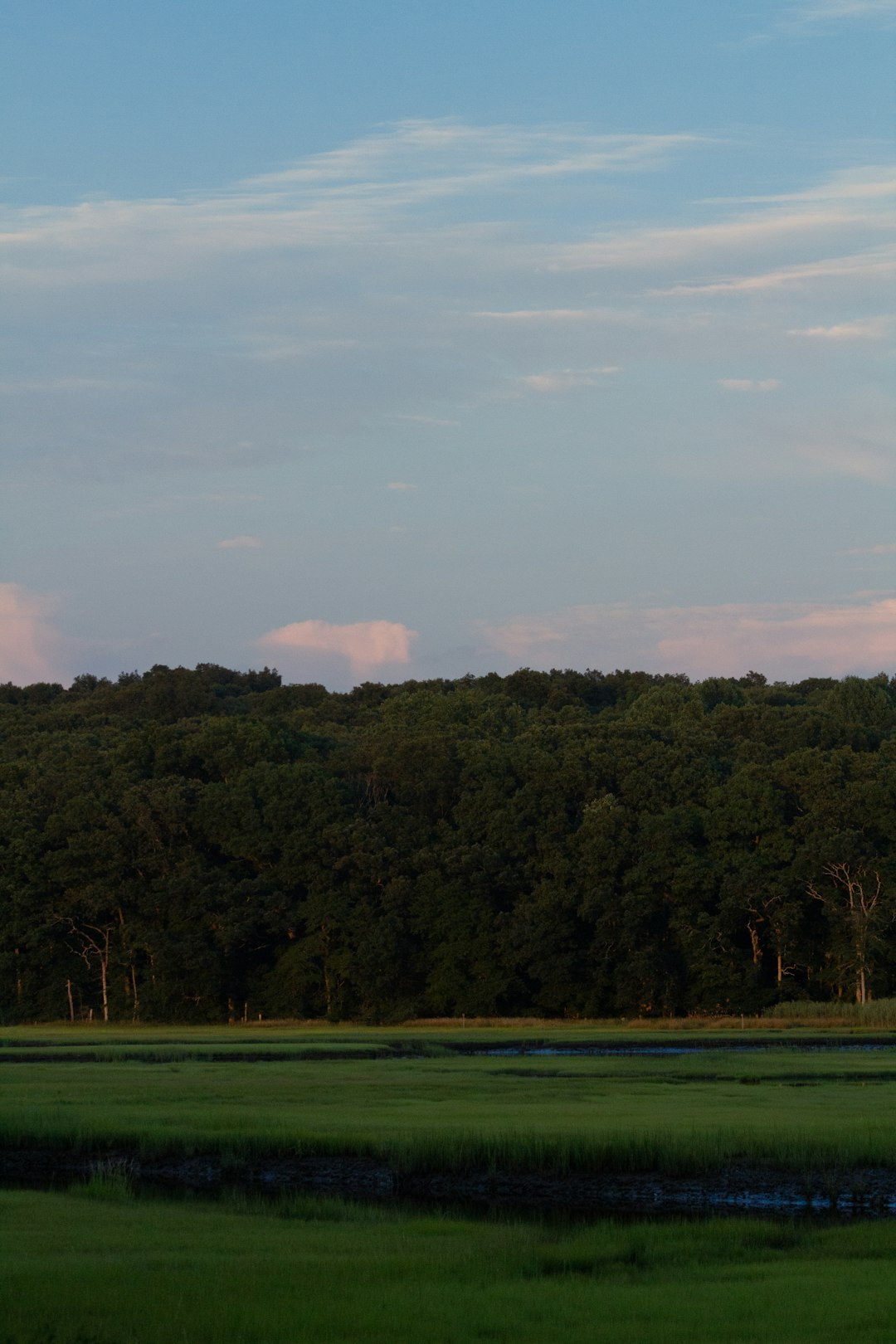 How to Browse the Process of Selling Missouri Land for Cash