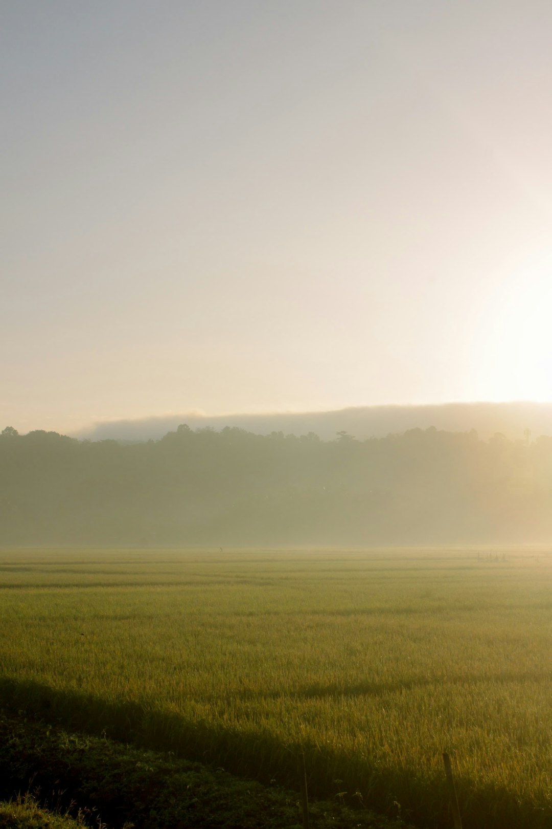 How to browse the procedure of selling West Virginia land for cash money