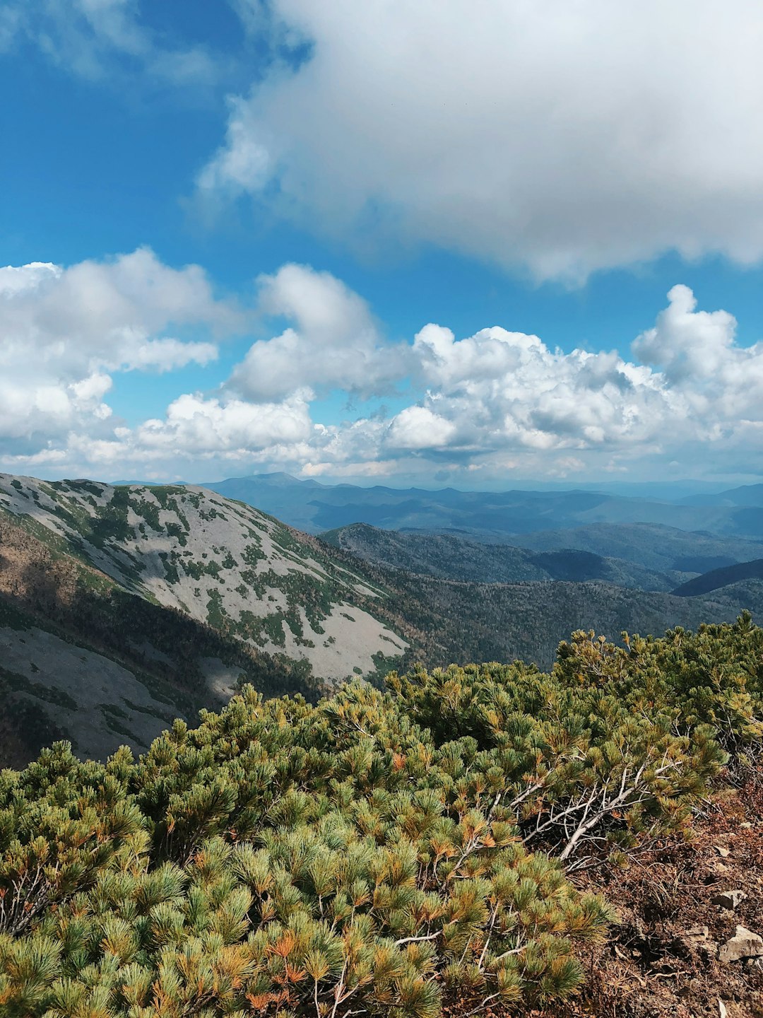 How to browse the process of offering West Virginia land for cash