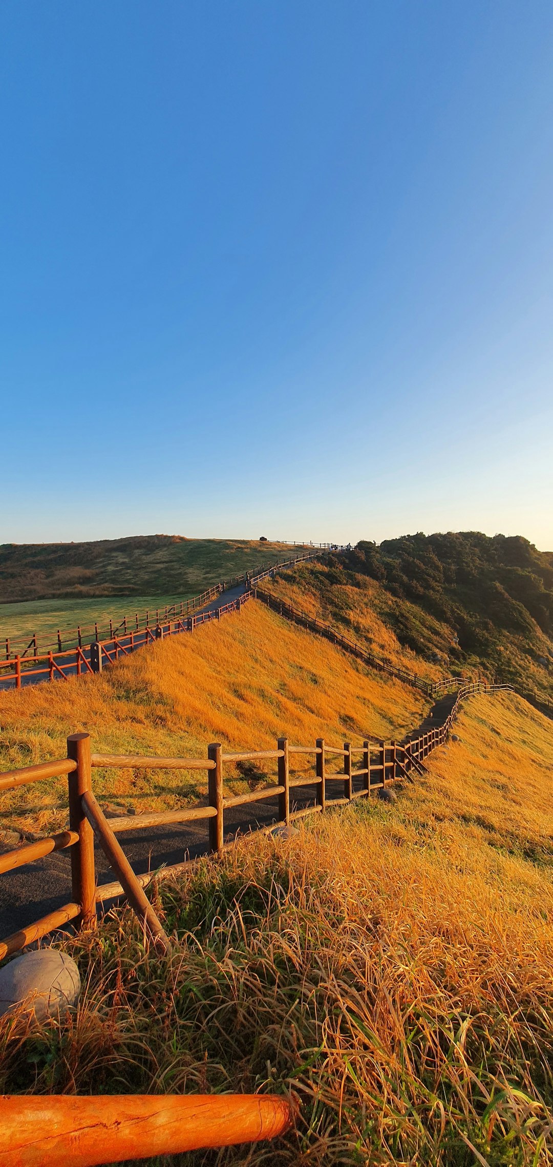 What is the best means to bring in buyers when marketing North Dakota land for money?