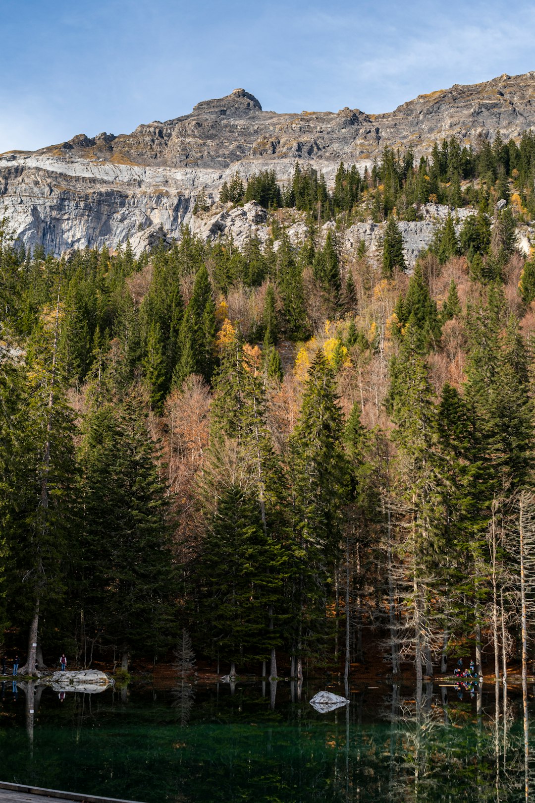 The Allure of Alabama Land