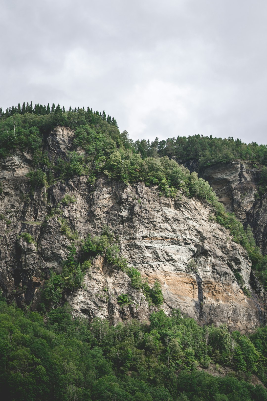 The Allure of Alabama Land