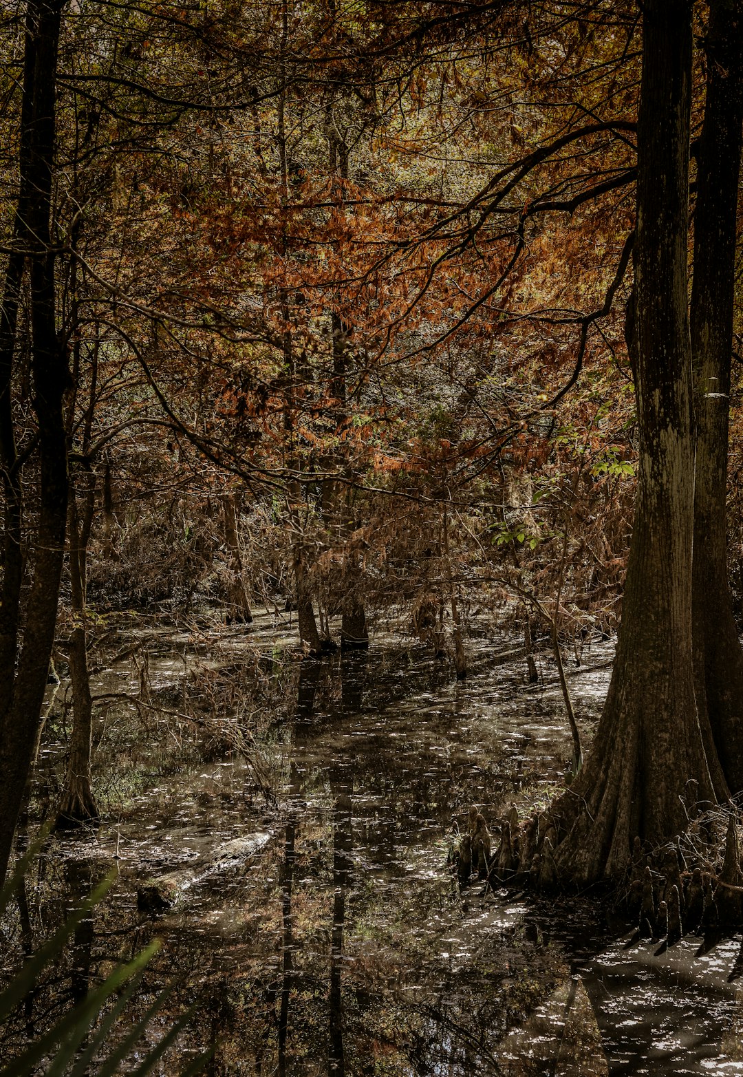 Making the Most of Your Louisiana Hunting Land Purchase