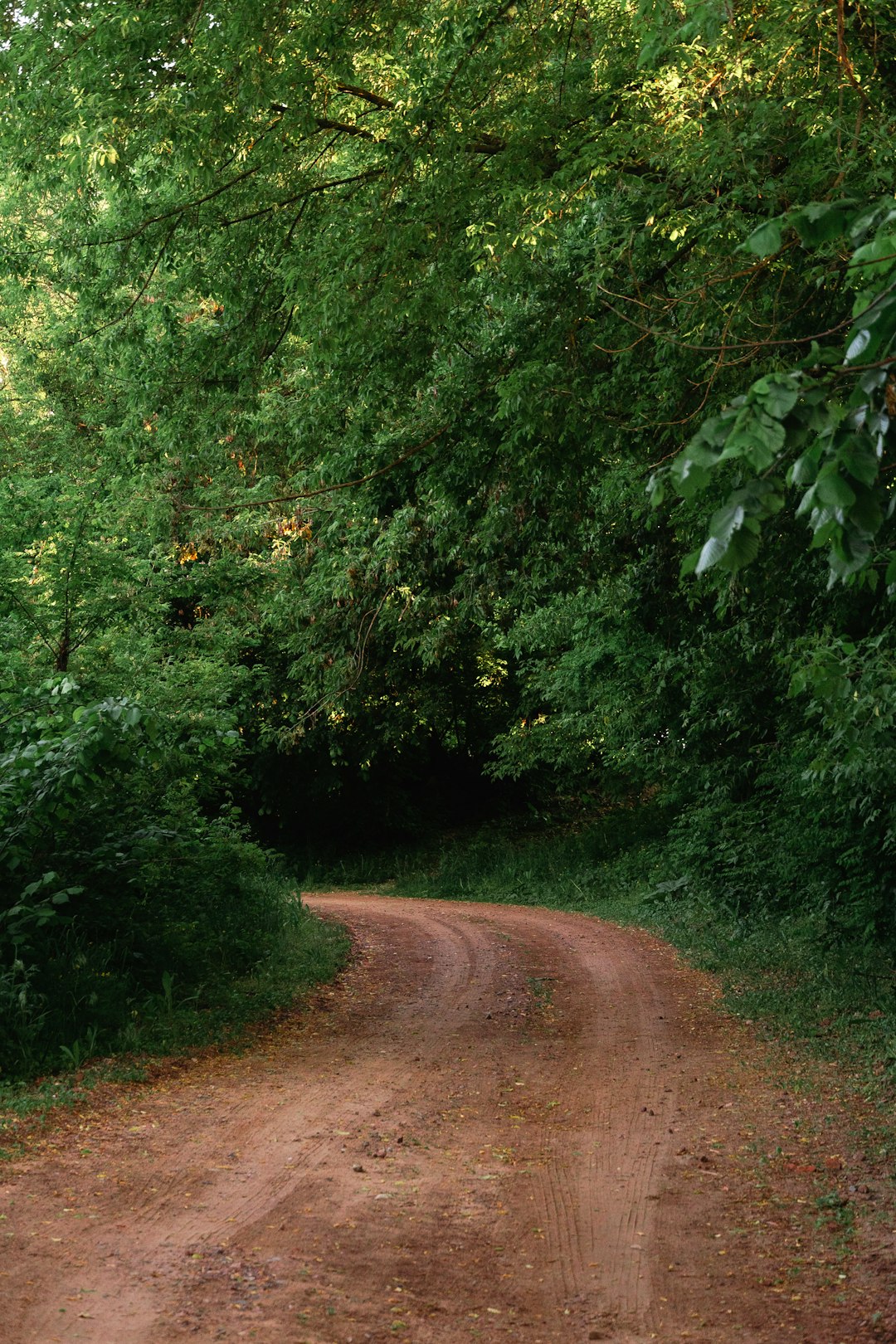 The Lowcountry Charm