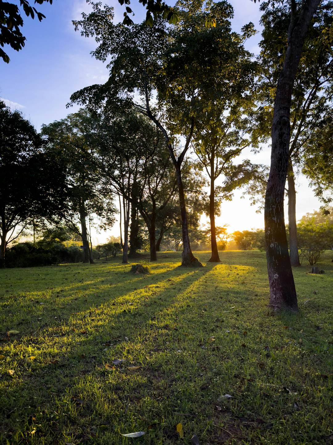 Buying South Carolina's Development