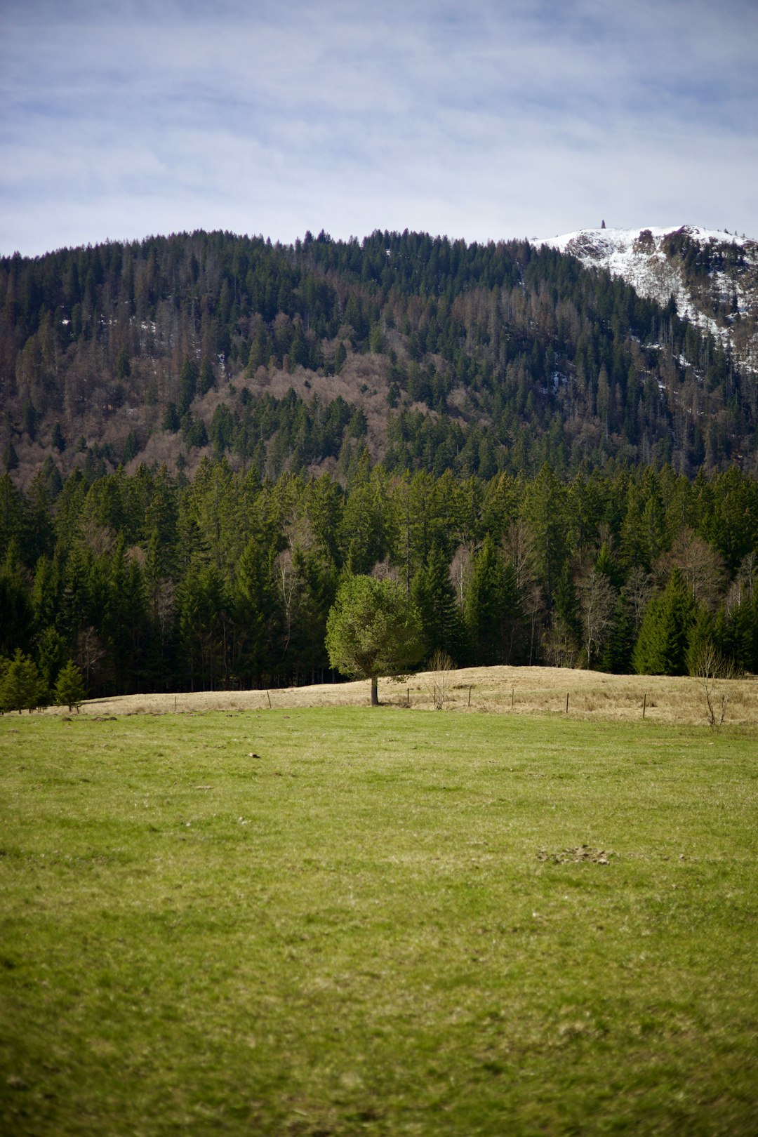 Exploring the Need for Land in Michigan