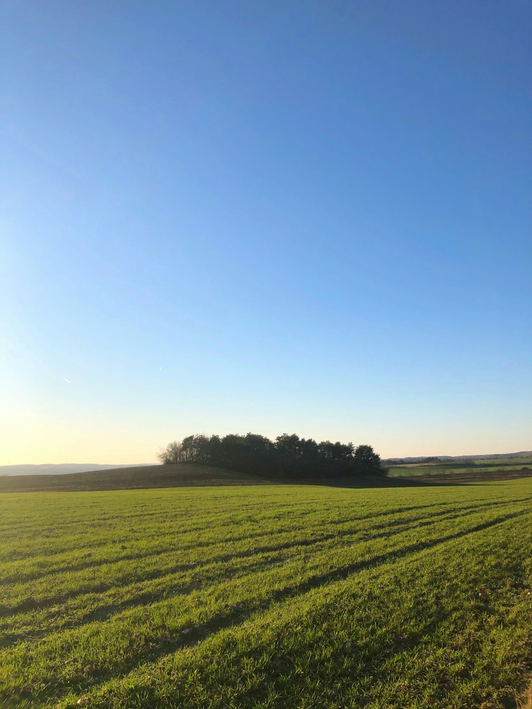 Checking out the Demand for Land in Michigan