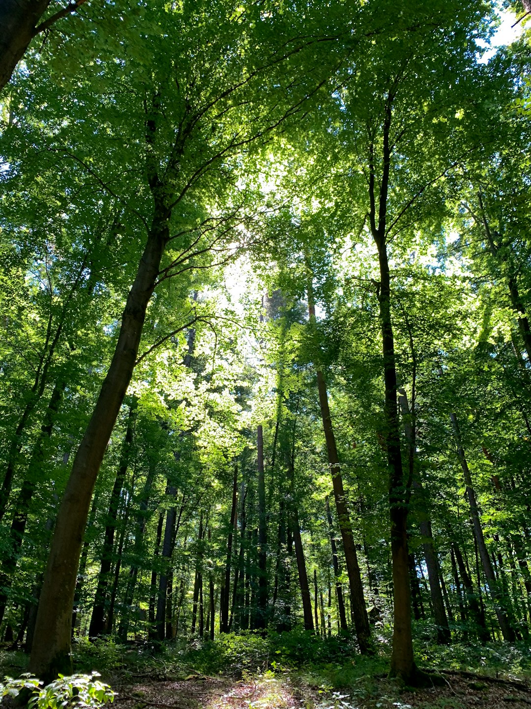 Discovering the Demand for Land in Michigan