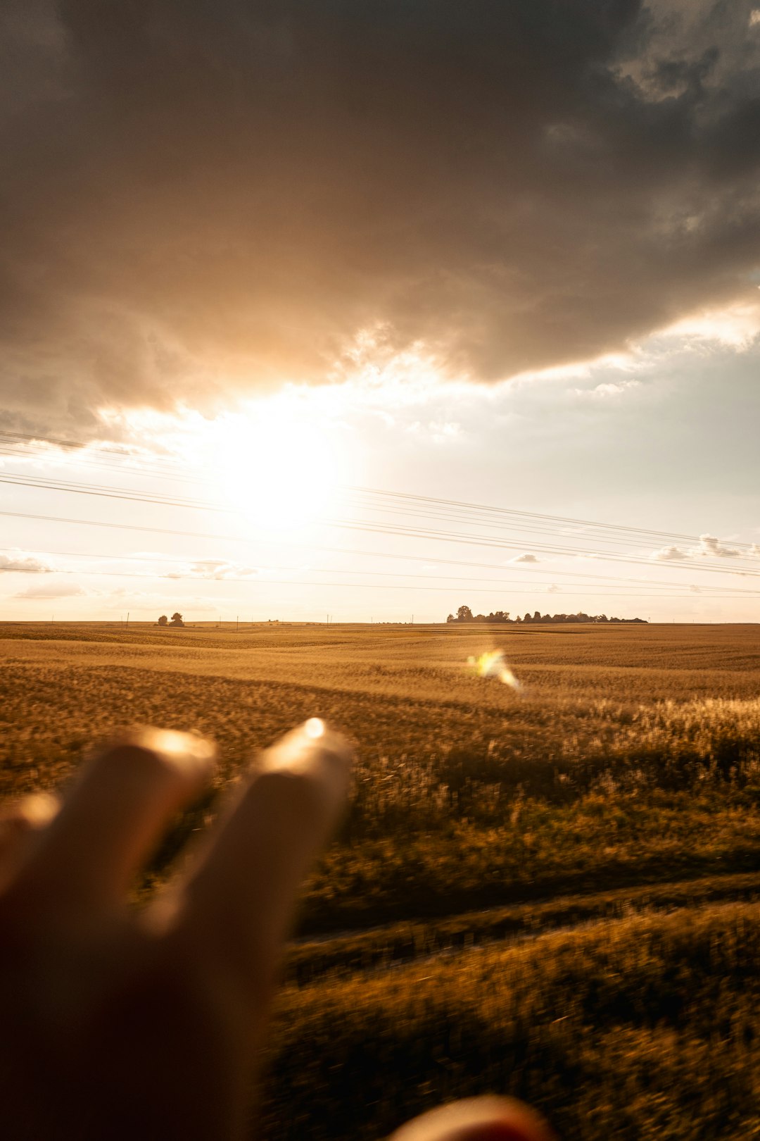 Discovering the Demand for Land in Michigan