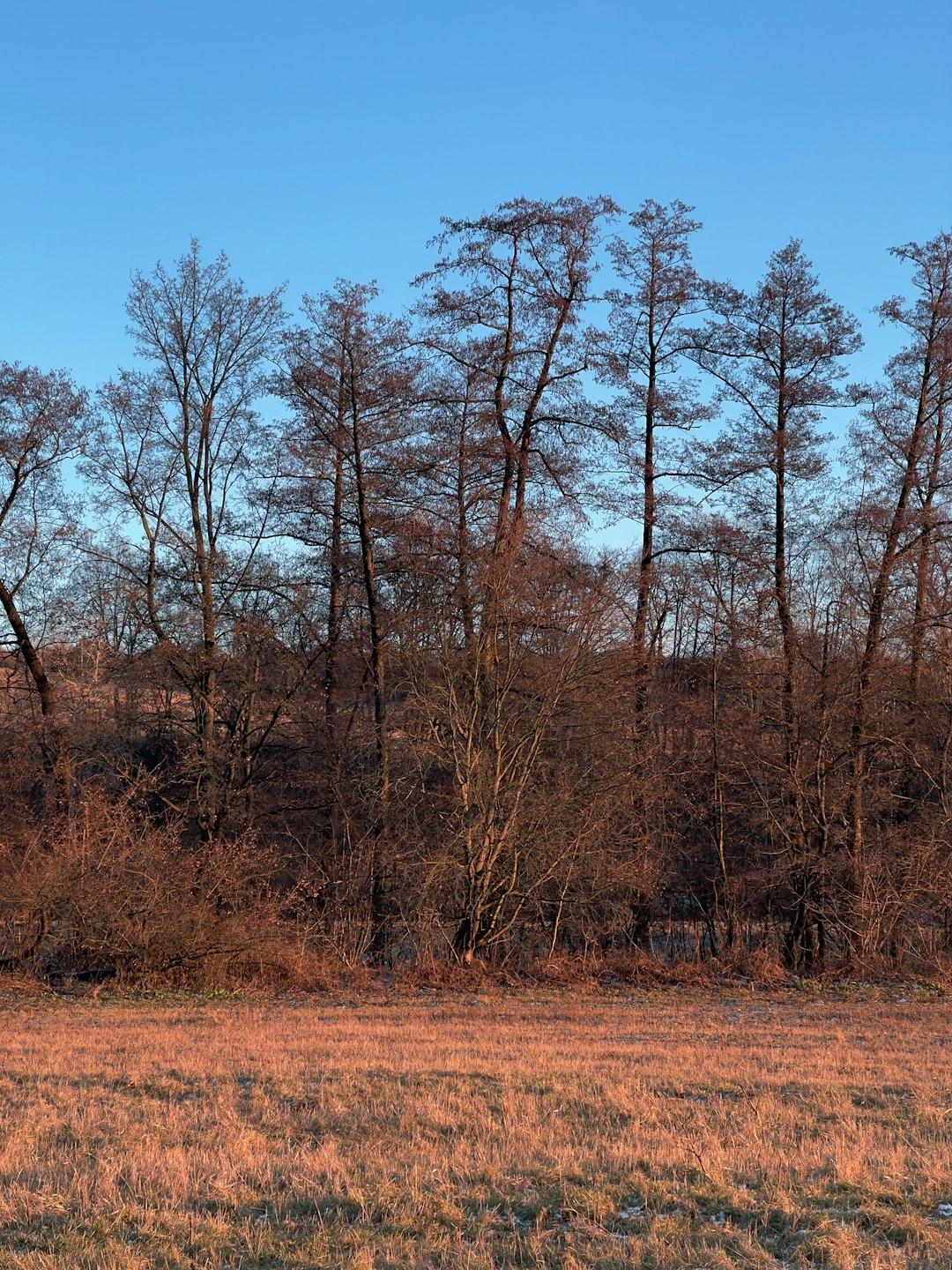 Advertising And Marketing Techniques for Kentucky Hunting Acreage