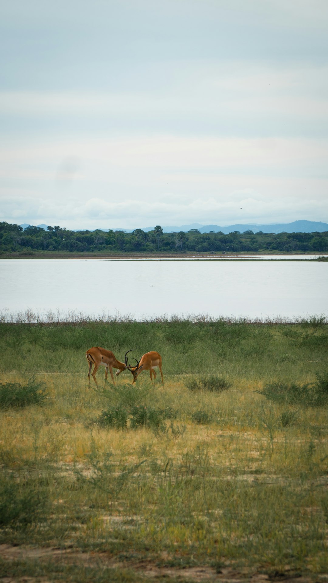 The Legal Aspects of Land Purchases in Kentucky