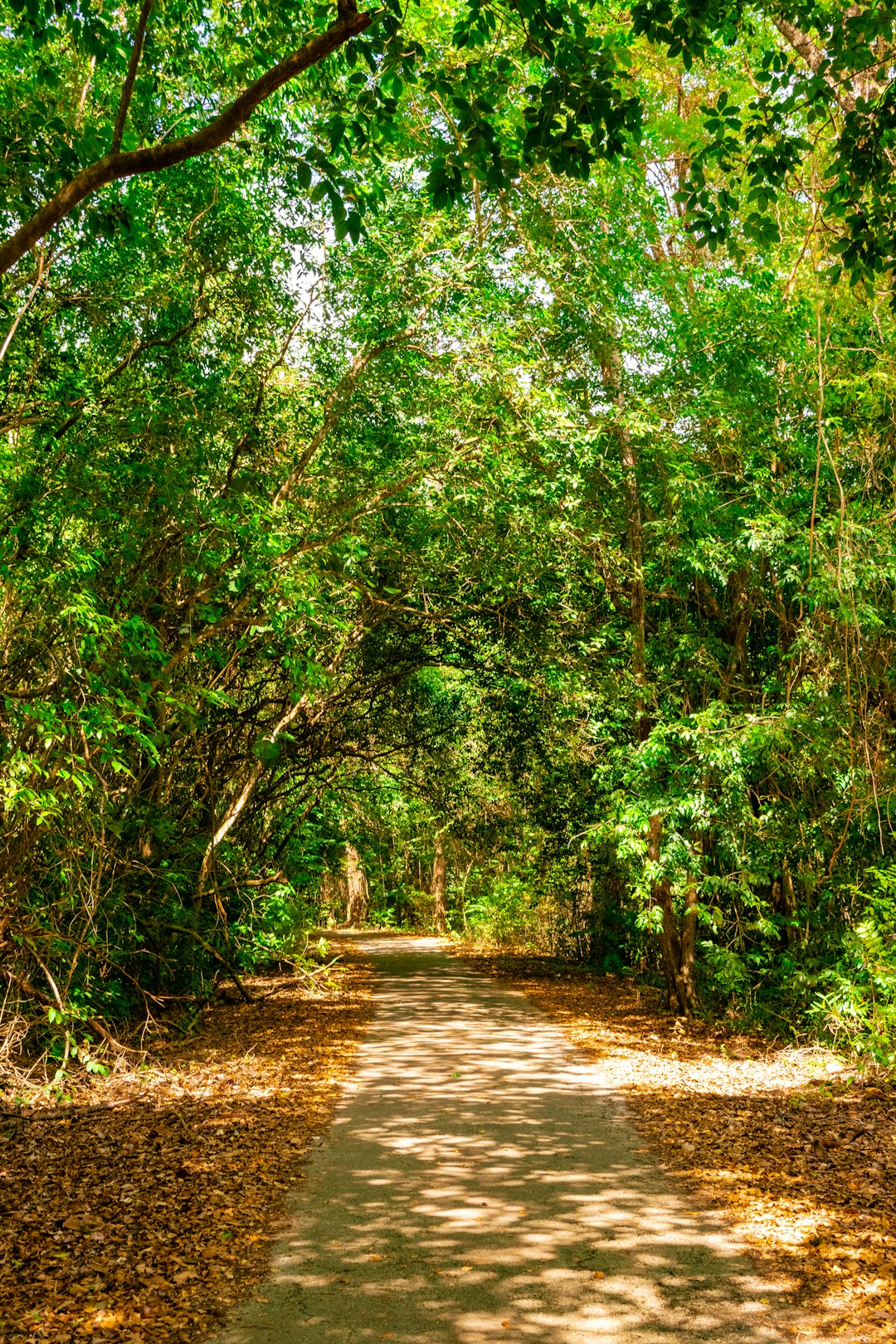 Understanding the Legalities of Land Ownership in Hawaii