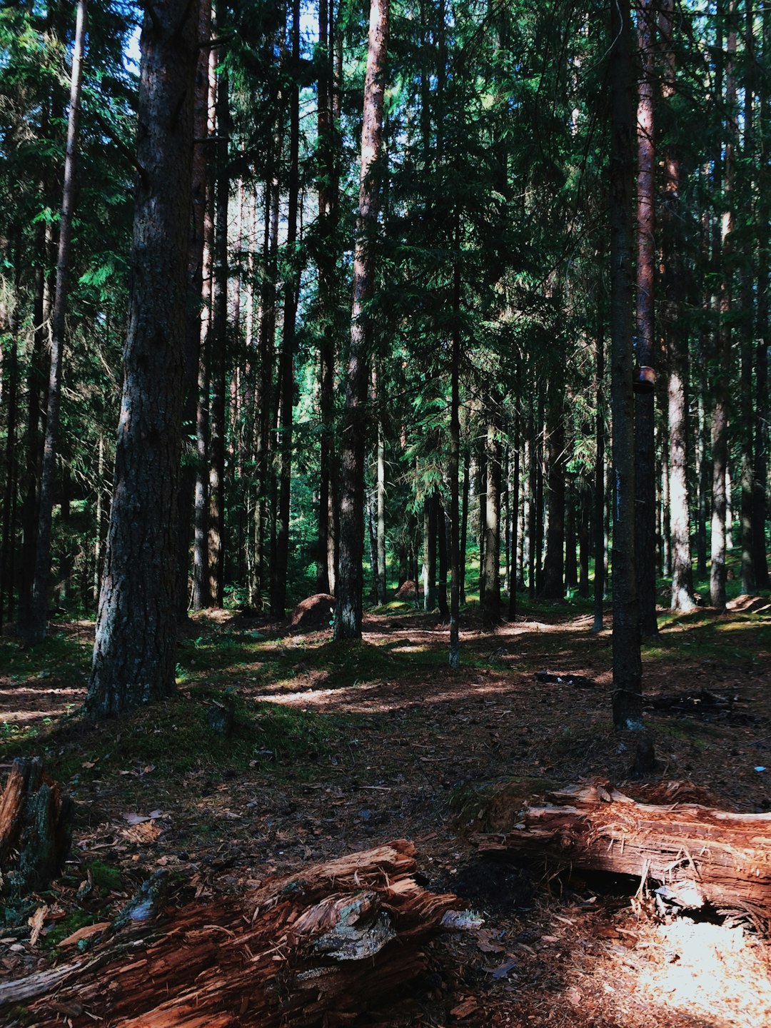 Preparing for a Land Acquisition in Ohio