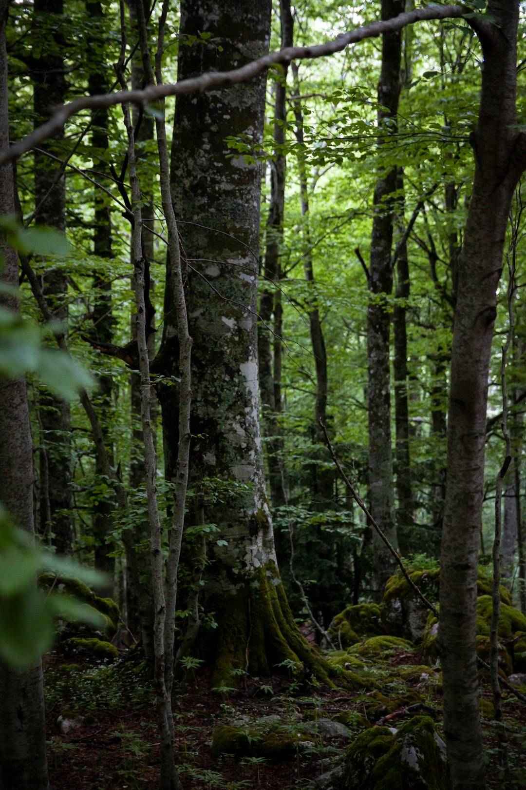 Preparing for a Land Purchase in Ohio