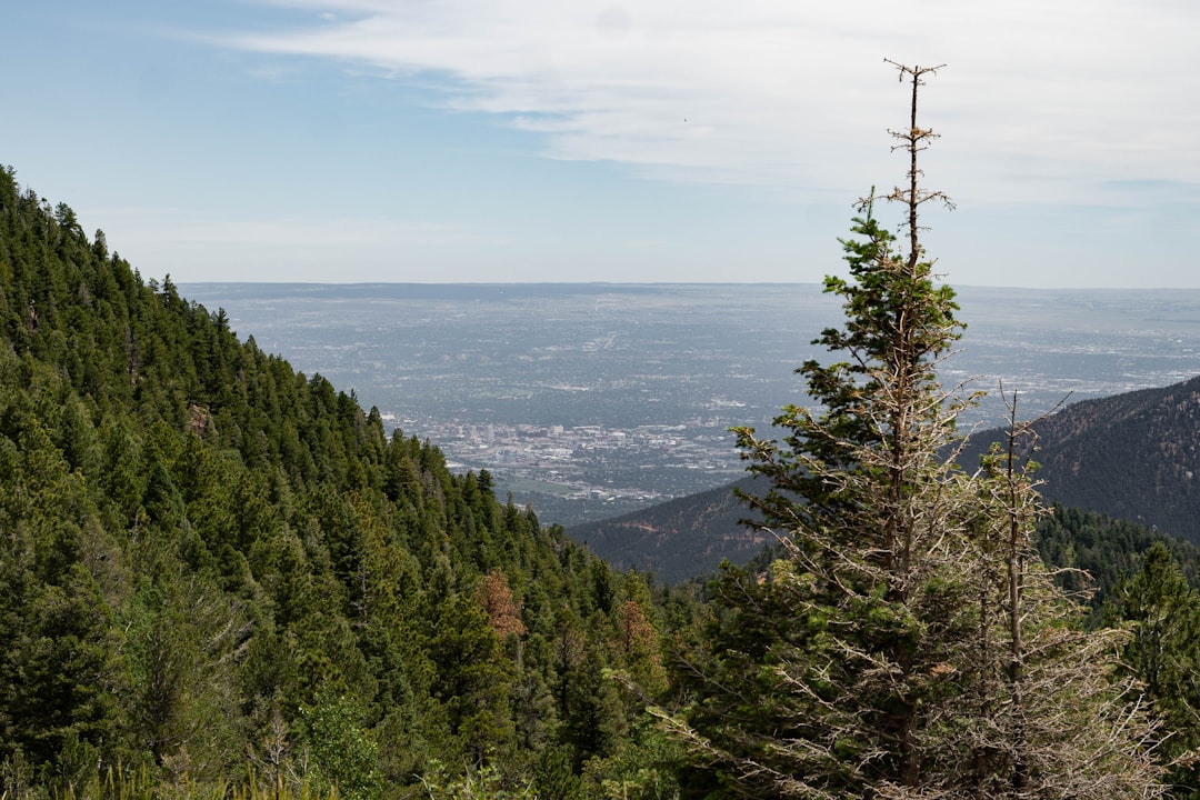 Future Outlook for Idaho's Growth