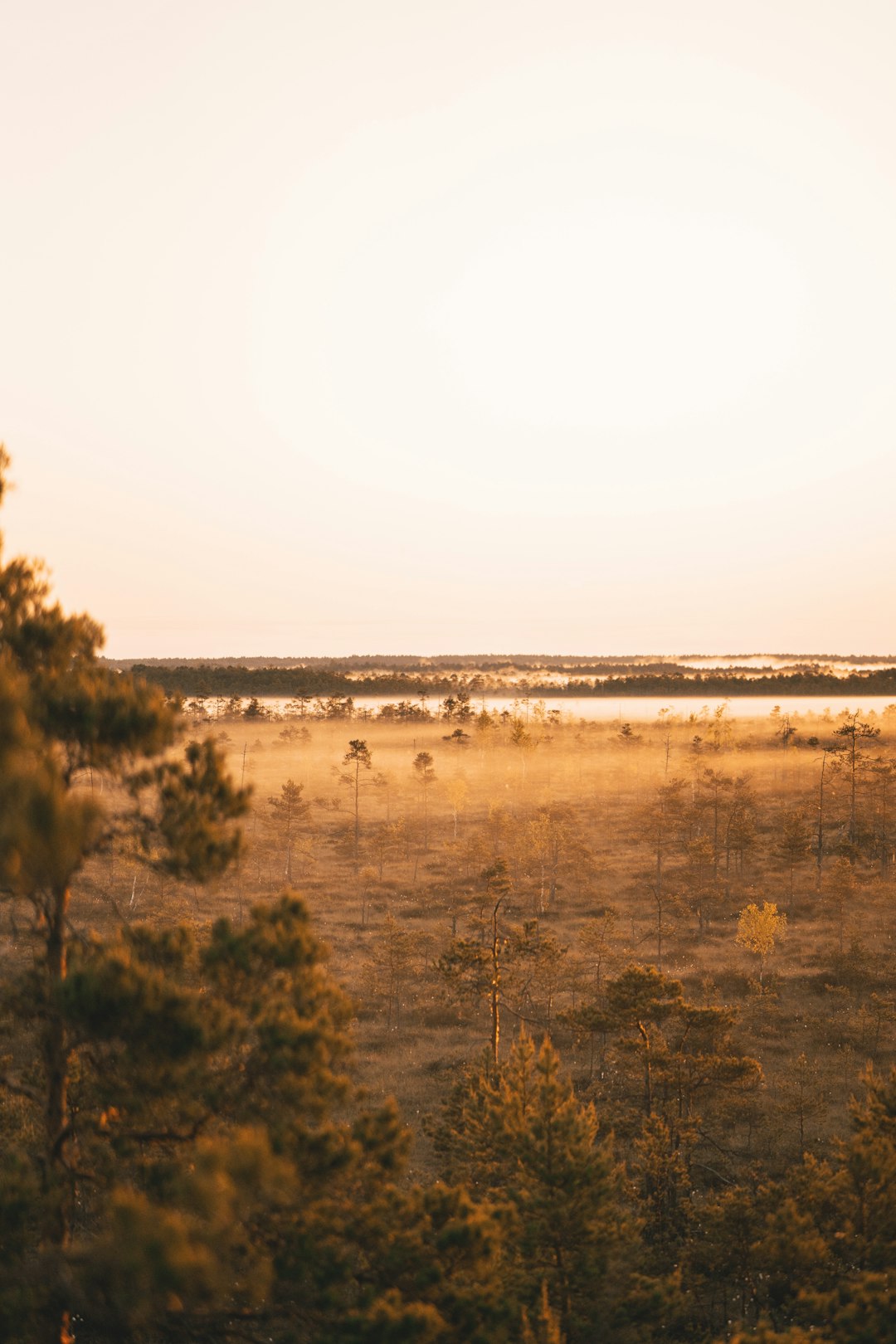 Sell land in Wyoming