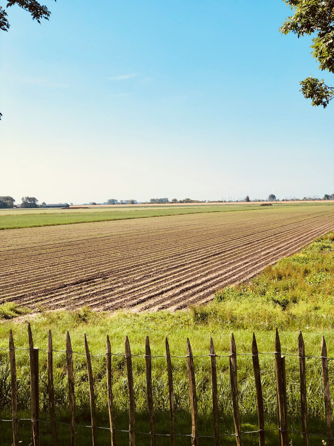 Preparing Your Land available