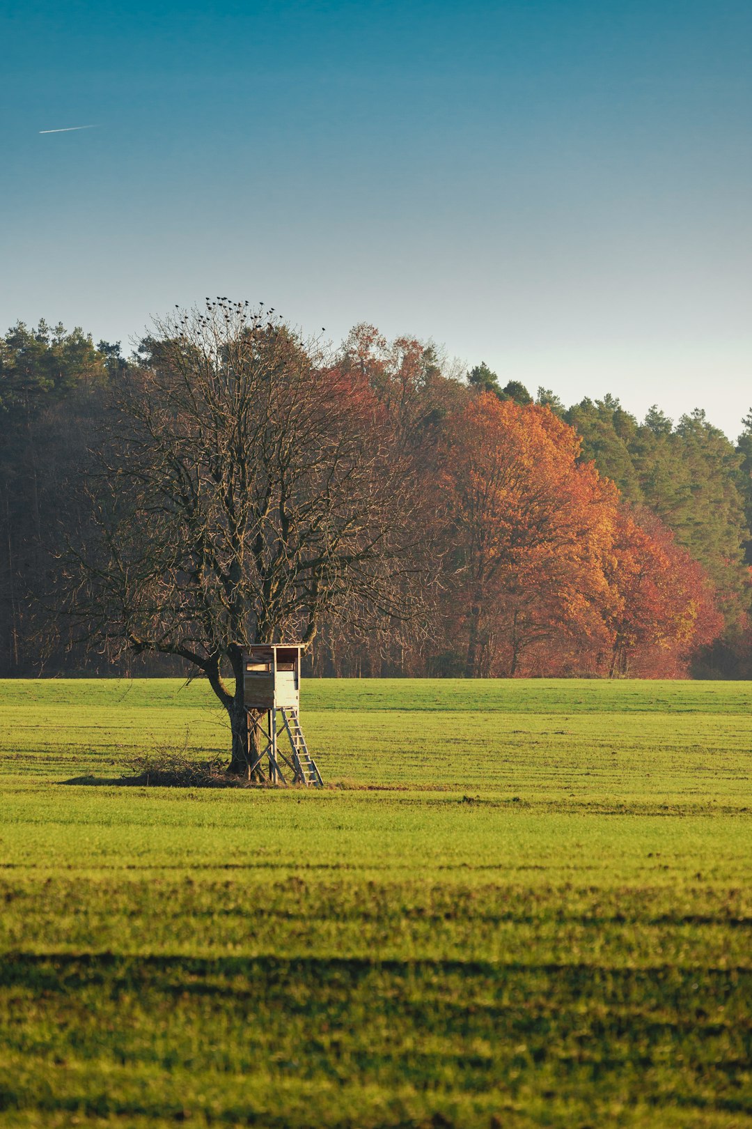 Examining Your Land's Worth