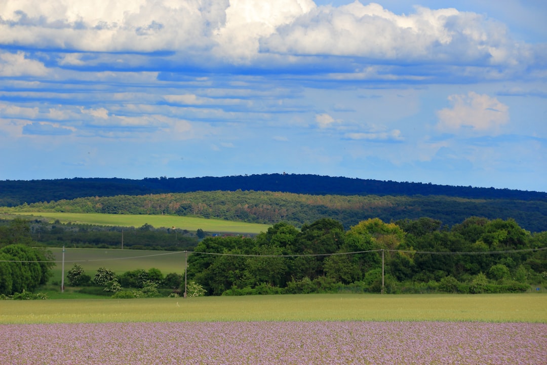 Rural vs urban land demand