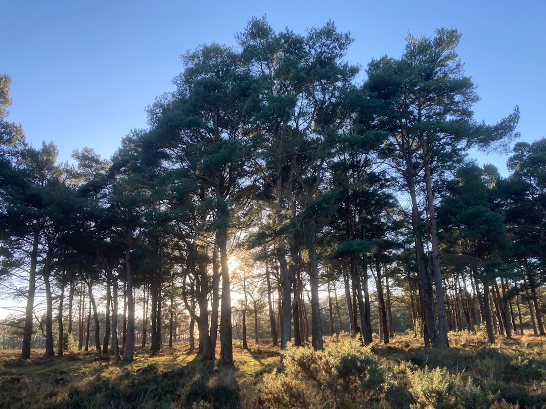 How to Unlock Hidden Profits: The Secret to Selling Your Wisconsin Land for Cash  