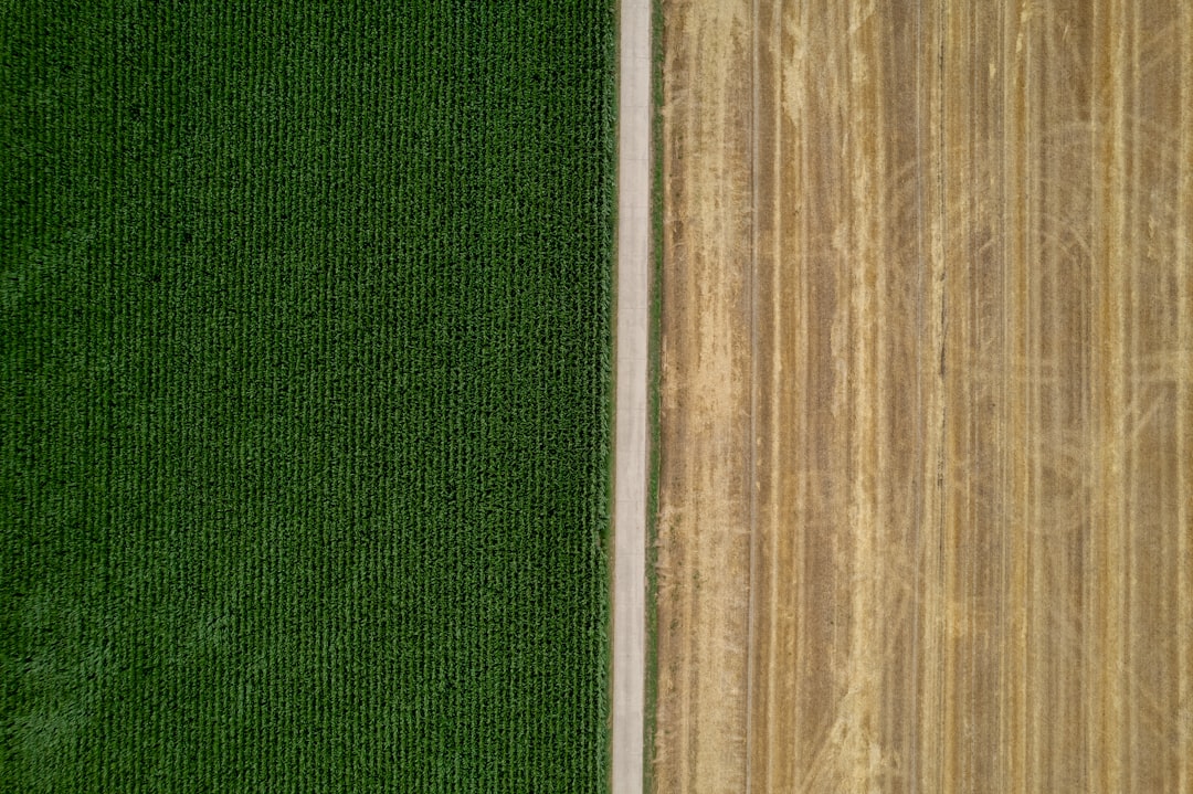 Sell Nebraska land for cash