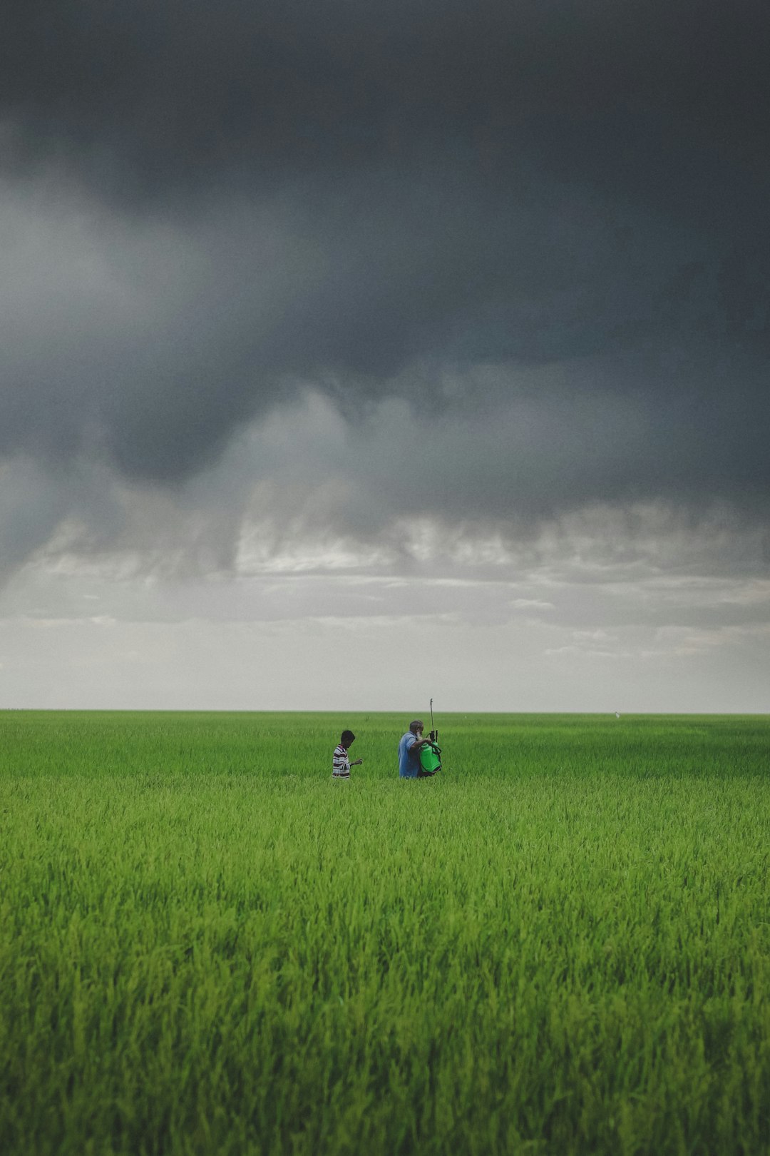 Just How to Rate North Dakota Land for a Cash Money Sale