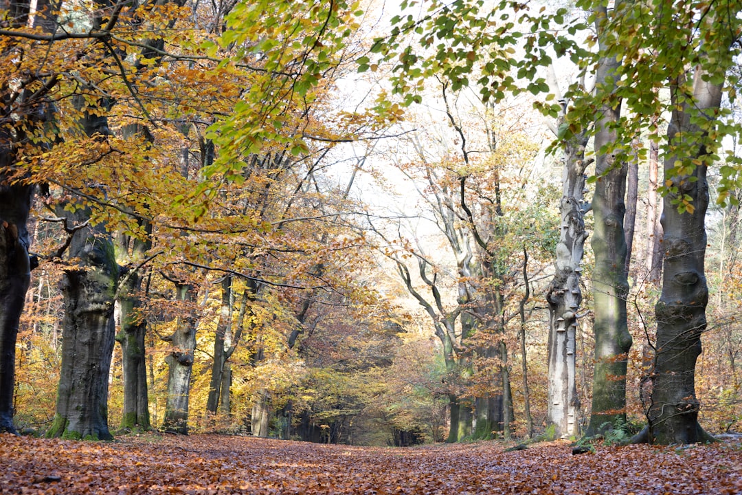 Sell New Jersey land for cash