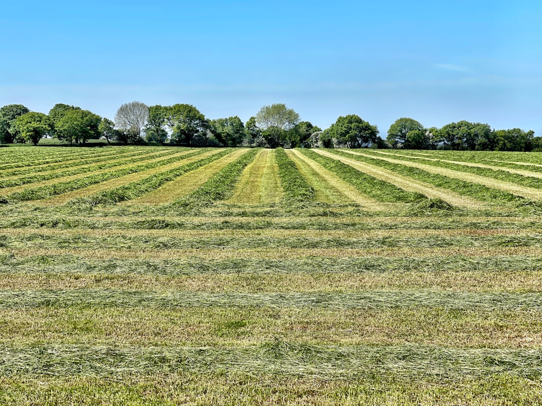 New Hampshire land buyer