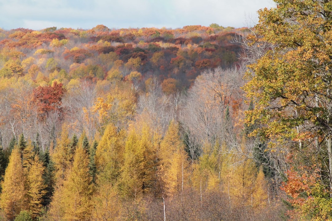 Making the Move: Next Steps After Investing In Your Vermont Land