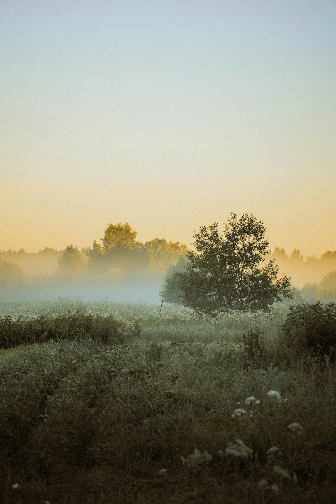 Benefits of Possessing Land in Vermont